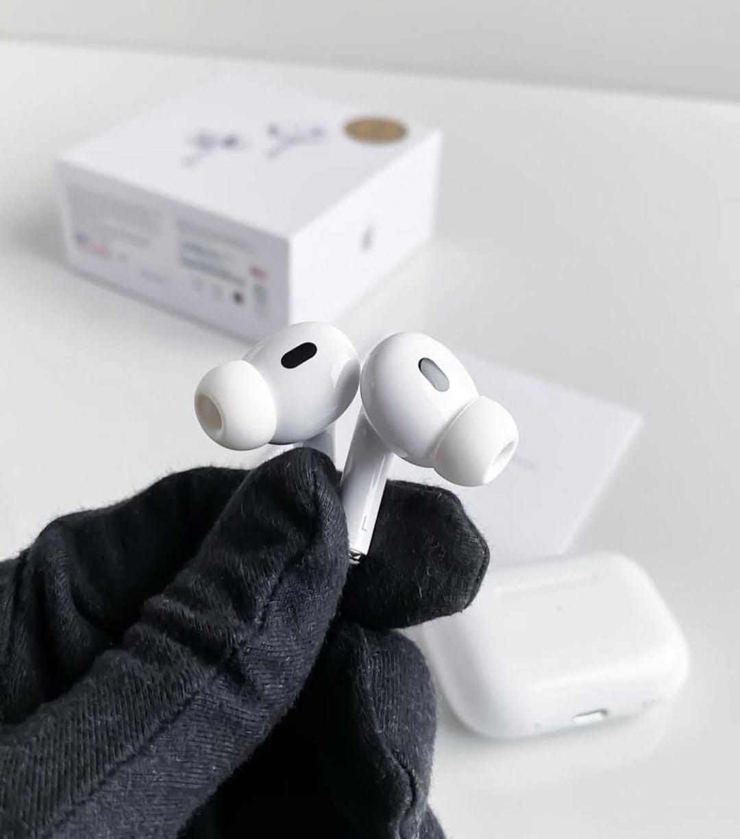 𝑬𝒂𝒓𝒃𝒖𝒅𝒔 𝑷𝒓𝒐 2